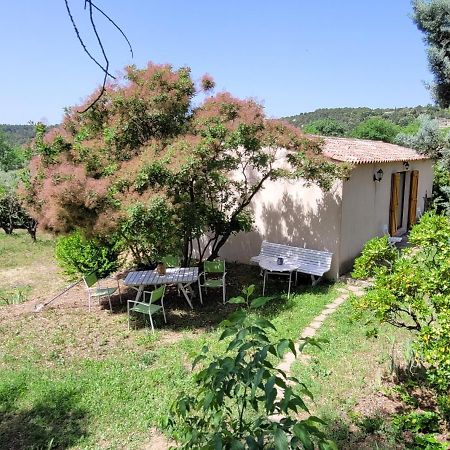 Maison Dans La Provence Verte Cotignac Zewnętrze zdjęcie