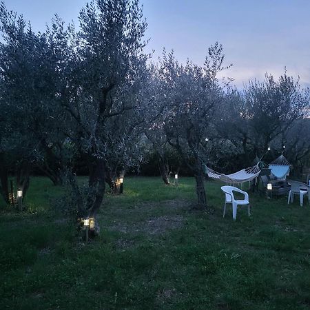 Maison Dans La Provence Verte Cotignac Zewnętrze zdjęcie