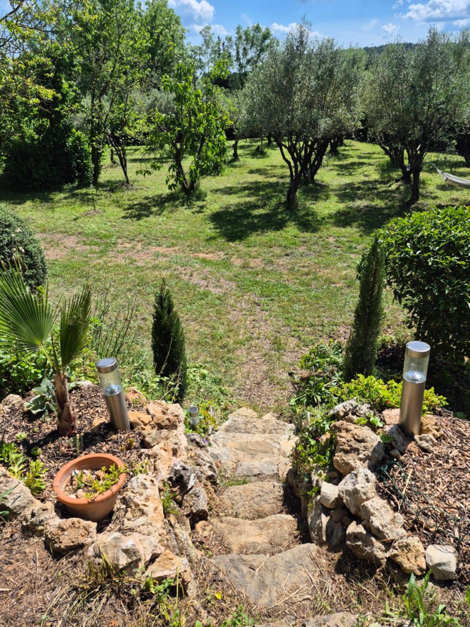 Maison Dans La Provence Verte Cotignac Zewnętrze zdjęcie